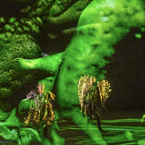 Bayreuther Festspiele